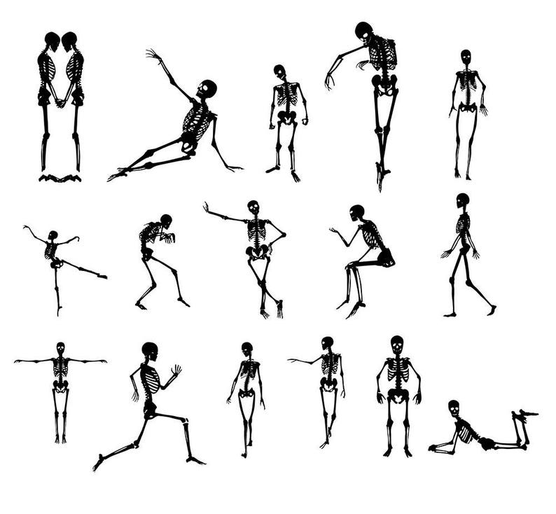 May include: A collection of black and white skeleton illustrations in various poses. The skeletons are depicted in standing, sitting, and dynamic action poses, such as running and dancing. The images are set against a plain white background.