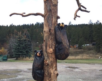 Original Climbing bear