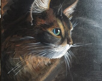 Cat 1