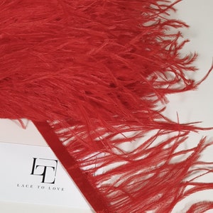 Pode incluir: Bordado de penas de avestruz vermelho com suporte de cetim. O bordado é etiquetado como "Lace to Love".