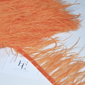 Orange Straußenfeder Fransen, Federborte mit Band, Natürliche Straußenhaar Feder, Federschmuck MC040