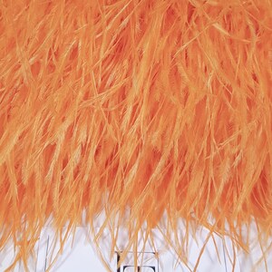 Pode incluir: Close-up de penas laranja vibrantes, provavelmente de avestruz ou semelhantes, com uma aparência macia e texturizada. As penas são densamente compactadas, criando um visual cheio e fofo. A parte inferior da imagem mostra um cartão branco com o texto "LACE TO LOVE".