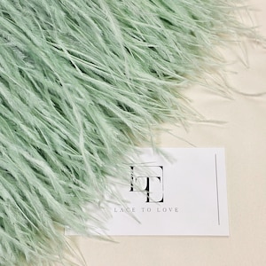 Frangia di piume di struzzo verde chiaro, guarnizione di piume con nastro, piuma di pelo di struzzo naturale, decorazione di piume, MC055