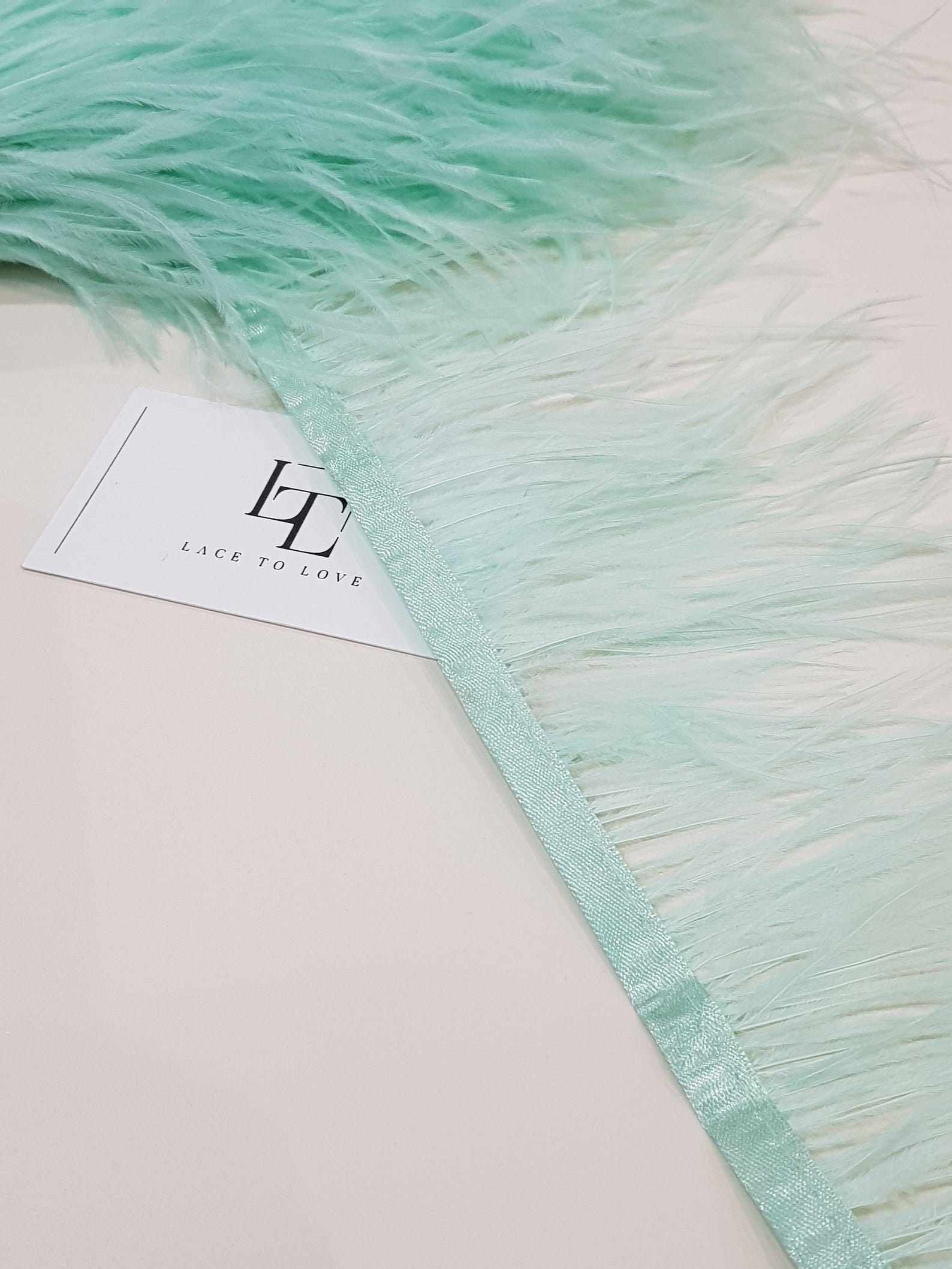 Mint Green Ostrich Feather Fringe with Ribbon - 4.7" Wide