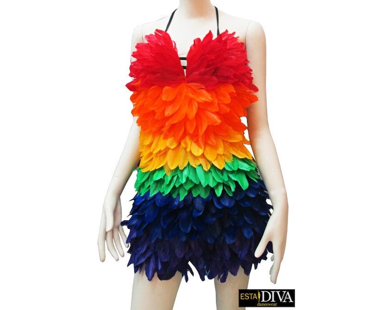 Feather Dress Pluma Rainbow Outfit Rio Carnival Costume Etsy