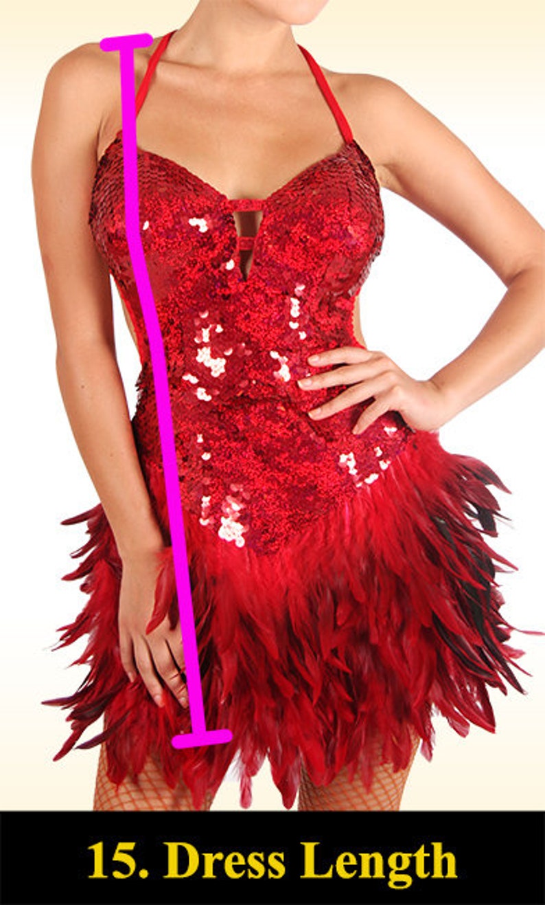 Vestido latino con flecos Fina Fringe Ballroom Tassel Dancesport Traje hecho a medida imagen 5