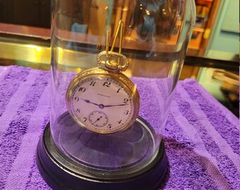 multiple pocket watch display case