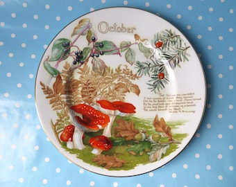 Country Diary of an Edwardian Lady 11" collector plate by Caverswall China