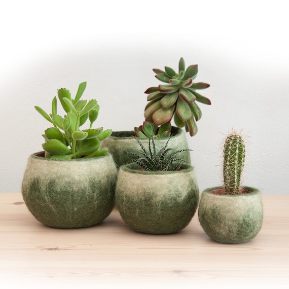 Piccoli vasi per piante da interno, copertura vaso in feltro in 4
