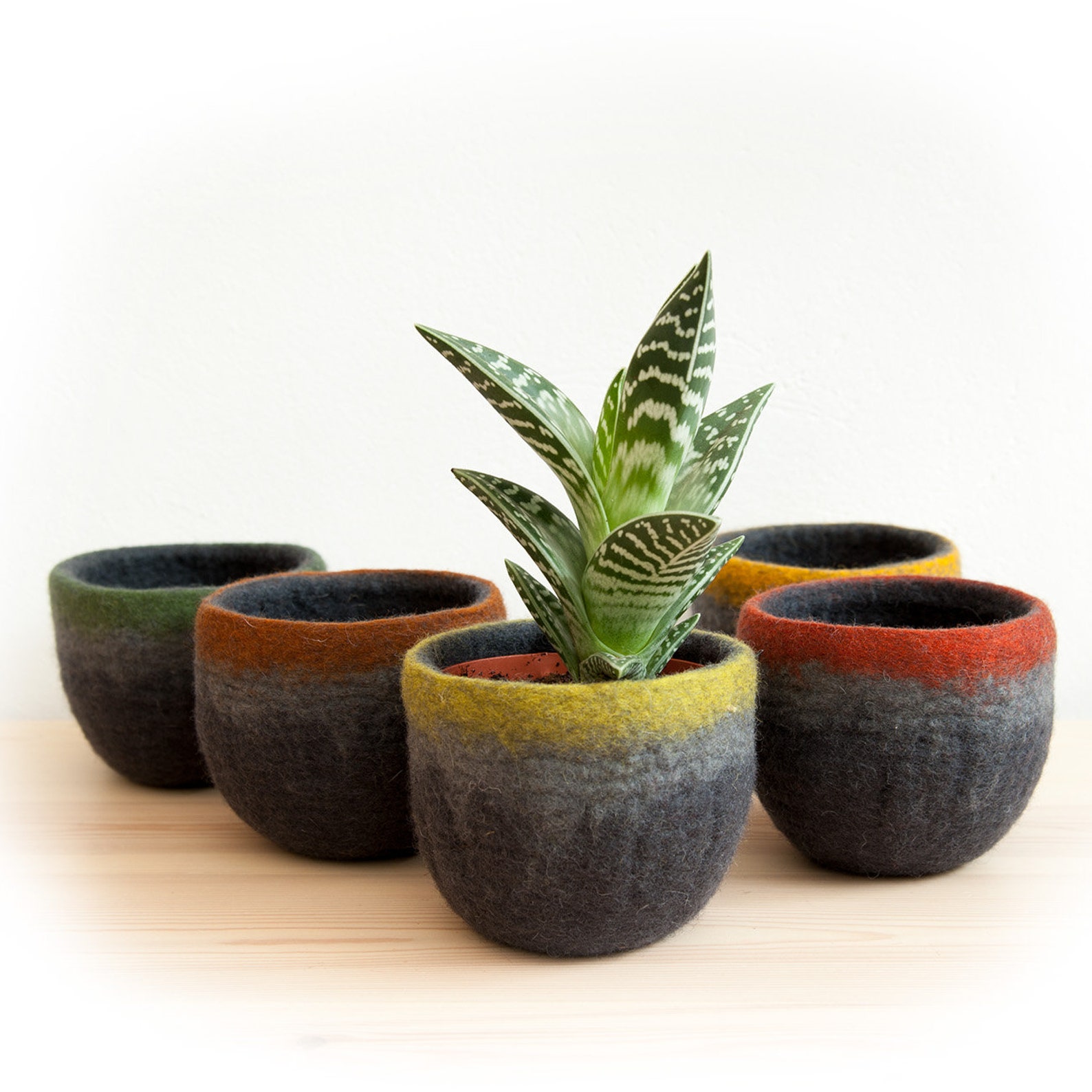 Succulent Pot Felted Wool Planter Cover With Waterproof Etsy