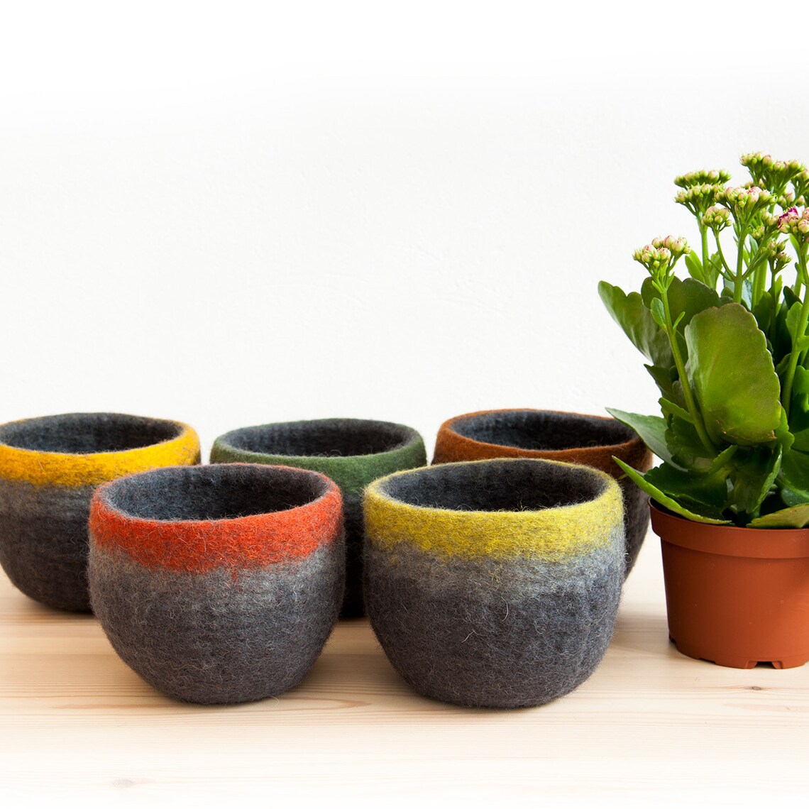 Succulent Pot Felted Wool Planter Cover With Waterproof Etsy