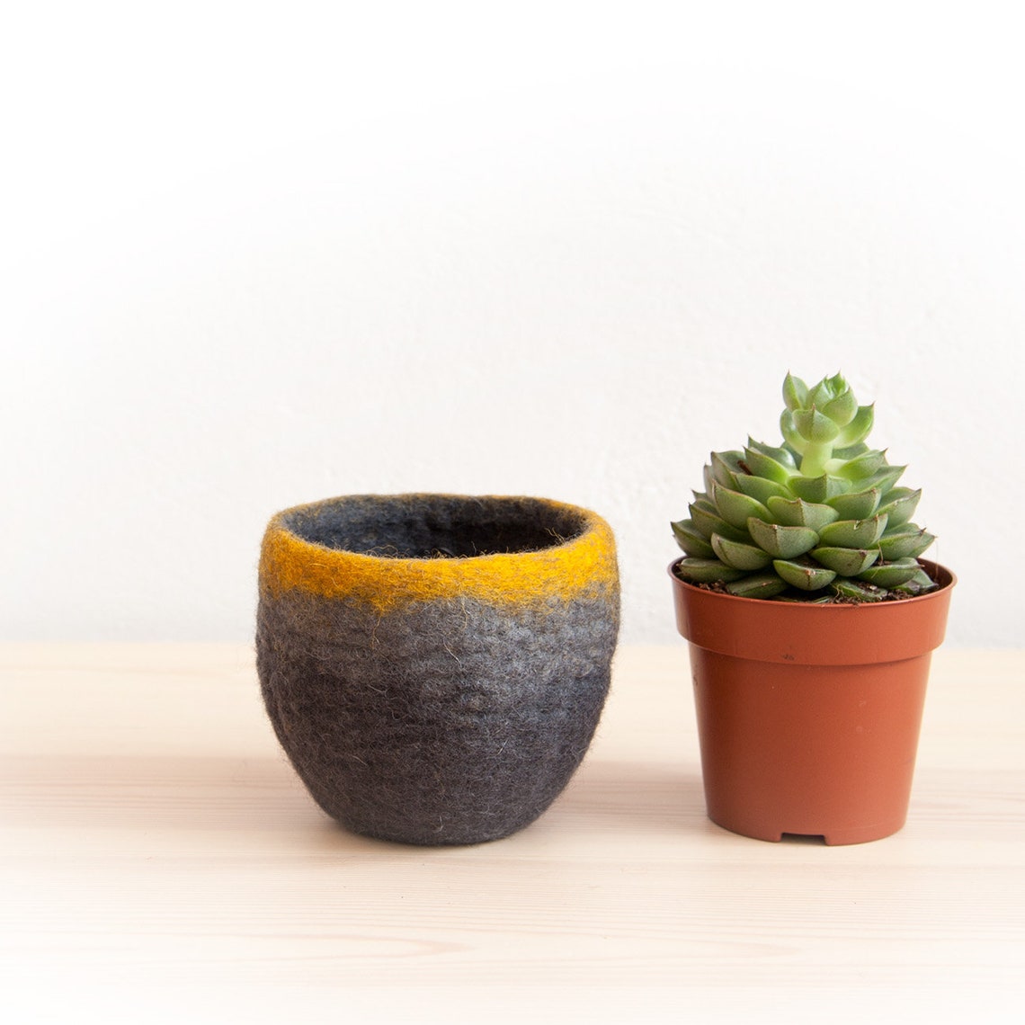 Small Plant Pot Felted Wool Planter to Fit 3.5 Pots Etsy