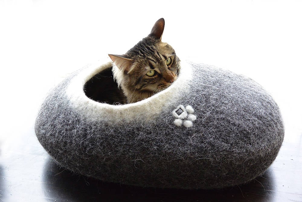 organic cat bed
