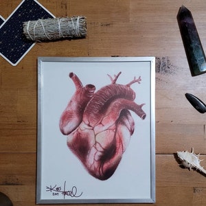 Anatomical Heart Print
