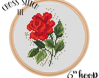 Kit De Point De Croix à Motif De Fleurs, Cerceau De Broderie, Kit De