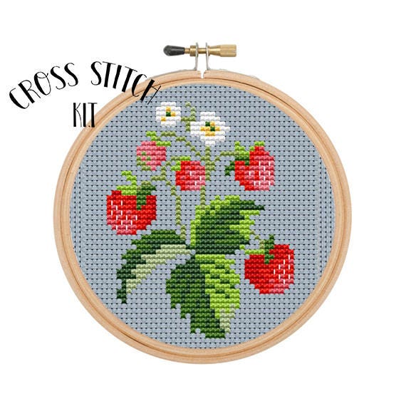 Strawberry Kit. Cross Stitch Kit. Beginner Cross Stitch. Funny Cross  Stitch. Retro Embroidery. Embroidery Kit. Floral Cross Stitch Kit.