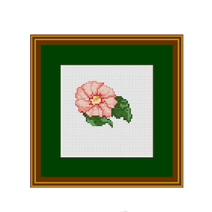 Flower Pattern. Small Pink Flower. Counted Cross Stitch Pattern. Nature. Flower. Floral Cross Stitch Pattern. Wall Decor.
