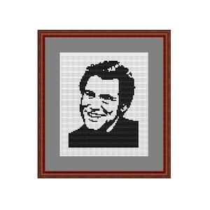 Jim Carrey Counted Cross Stitch Pattern. PDF Instant Download. Begginers Pattern. Comic Pattern. Actor Cross Stitch.