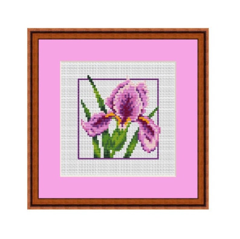 Iris Cross Stitch Pattern. Flowers Cross Stitch Chart. PDF Etsy