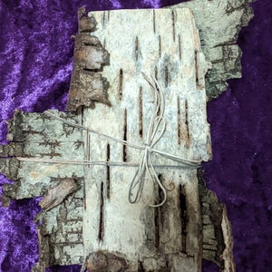 K&ouml;nnte beinhalten: Ein B&uuml;ndel Birkenrinde, das mit Schnur zusammengebunden ist. Die Rinde ist hellbraun und hat eine raue Textur. Die Rinde ist nat&uuml;rlich mit Linien und Punkten gemustert.