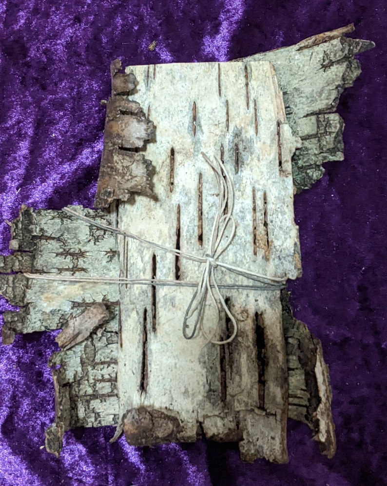 K&ouml;nnte beinhalten: Ein B&uuml;ndel Birkenrinde, das mit Schnur zusammengebunden ist. Die Rinde ist hellbraun und hat eine raue Textur. Die Rinde ist nat&uuml;rlich mit Linien und Punkten gemustert.