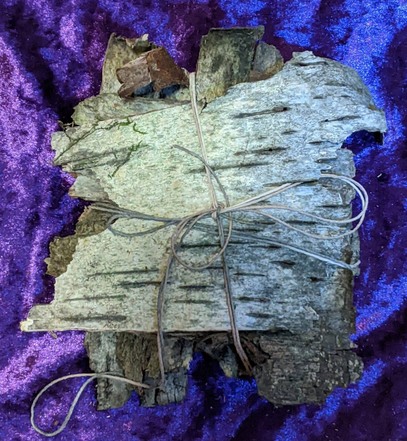 K&ouml;nnte beinhalten: Ein B&uuml;ndel Birkenrinde, das mit Schnur zusammengebunden ist. Die Rinde ist hellbraun und hat eine raue Textur. Die Rinde liegt auf einem violetten Samt-Hintergrund.