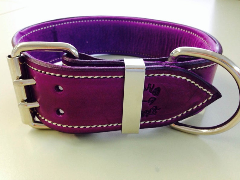 Violet Leather Dog Collar With Soft Purple Suede Inner Lining Etsy