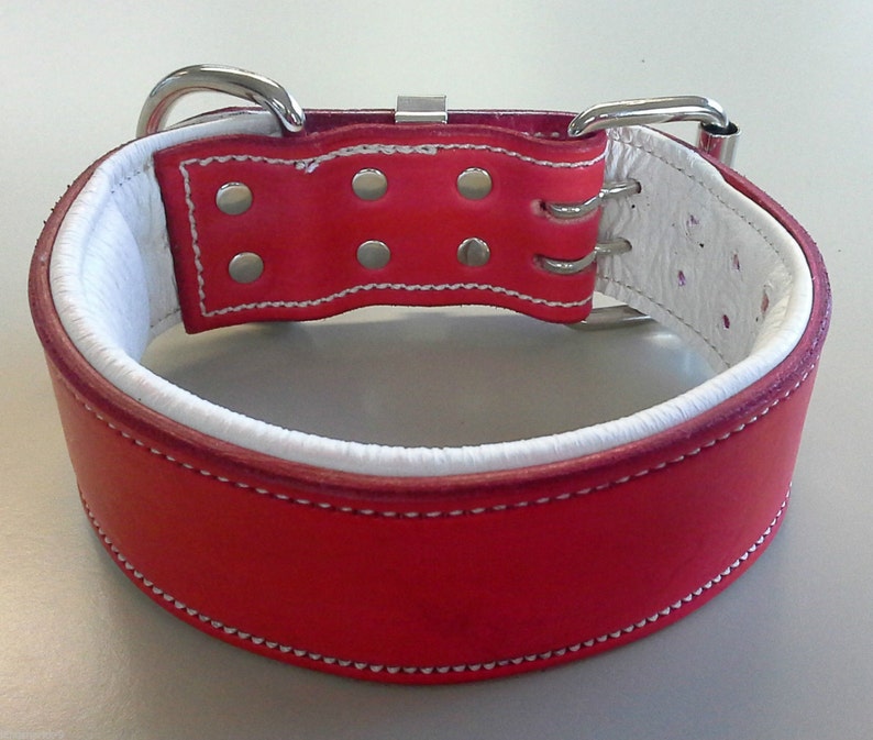 Red Leather Dog Collar With Soft White Suede Inner Lining Etsy