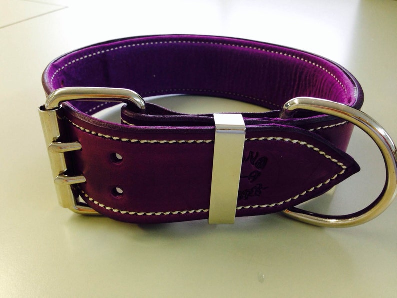 Violet Leather Dog Collar With Soft Purple Suede Inner Lining - Etsy