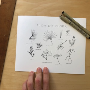 Florida Flora, florida plants, florida nature, plant drawing