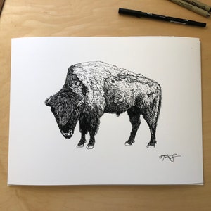 Winter Coat, bison drawing, buffalo drawing