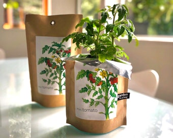 Tomato Garden in a Bag | Mini Tomato Eco Friendly grow kit - Dwarf Tomato seeds - Easy to grow - windowsill indoor tomato garden - handmade