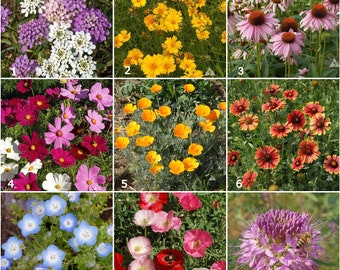 Honeybee Habitat Scatter Garden | The perfect flower combination to attract bees - 18 flower seed varieties included – pollinator garden