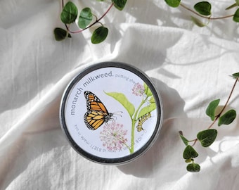 Garden Sprinkles Seed Collection (3 tins included) | Pollinator gardens for butterflies, bees and hummingbirds - flower garden