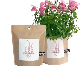 Snapdragon Garden in a Bag | Easy grow indoor flower garden - Friend gift - Mother's Day - Valentine's Day - Pinks - indoor garden gift
