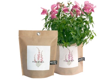 Snapdragon Garden in a Bag | Easy to grow indoor flower garden kit - A gift for her, Mother's Day or Valentine's Day - Cottage Garden - Pink