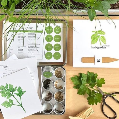 Culinary Herb Garden Maker Herb Starter Kit Indoor Herb Etsy