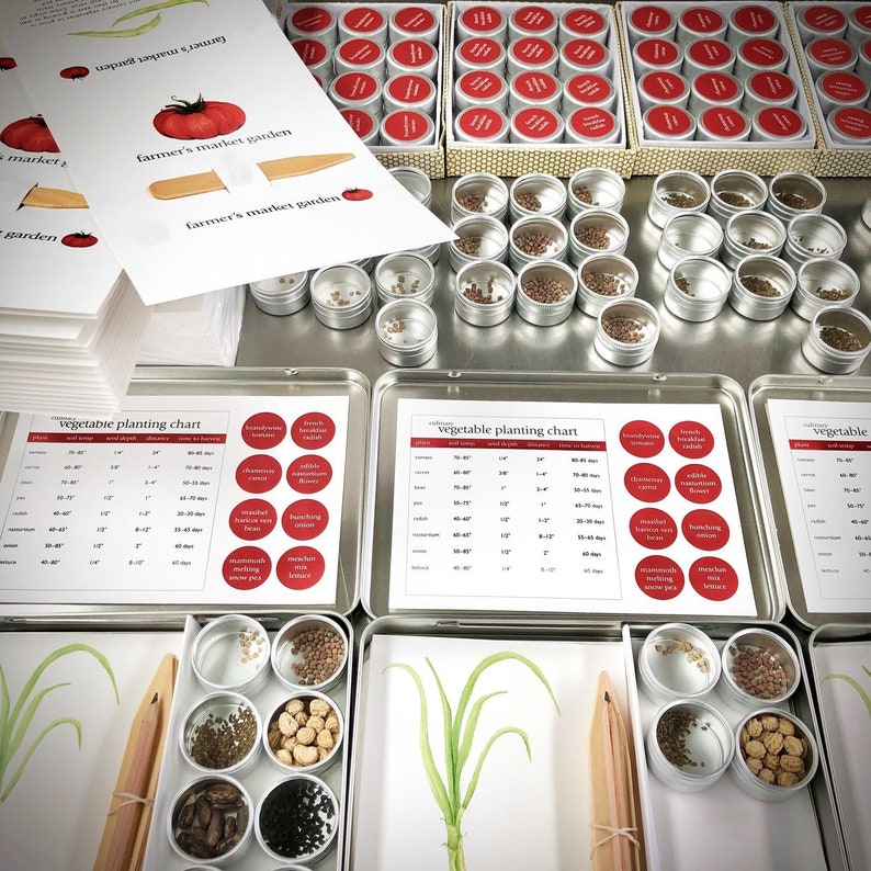 May include: A close-up of a table with various small containers filled with seeds. The containers are arranged in rows and labeled with different vegetable names. There are also several charts with planting information, including seed depth, spacing, and days to maturity. The charts are labeled "vegetable planting chart".