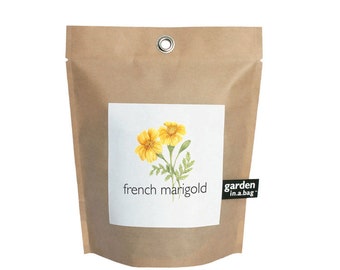 Marigold Garden-in-a-Bag | Self Contained Grow Kit – Eco Friendly – October Birth Month Flower – Flower Grow Kit - Indoor Garden