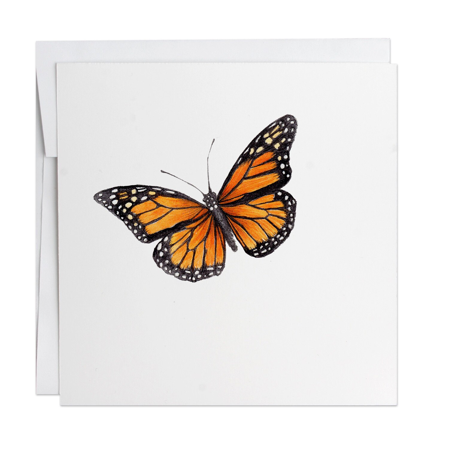 Butterfly Greeting Card Watercolors Handmade Cards Etsy
