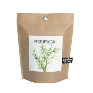 Dill Garden in a Bag – Indoor Garden Gift – Indoor Herb Garden Kit - Kitchen Herb - Gift for the home cook - Herb Garden Seed