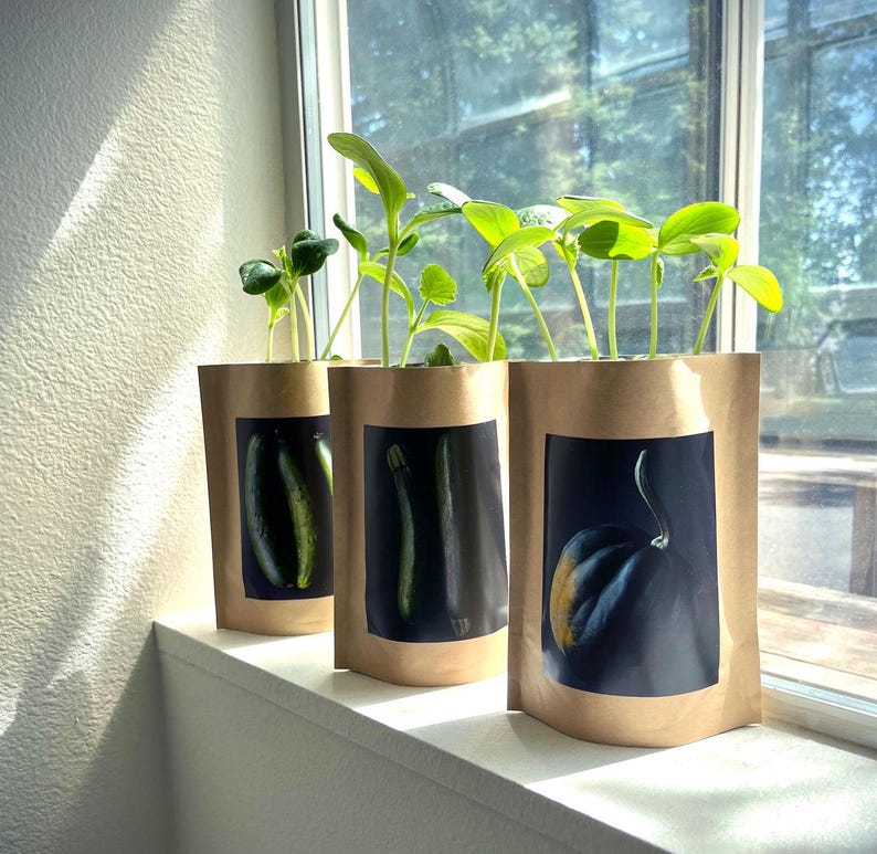May include: Three brown paper bags with green plant sprouts growing out of the top. Each bag has a different image printed on the front: a green zucchini, a green squash, and a yellow and green squash.
