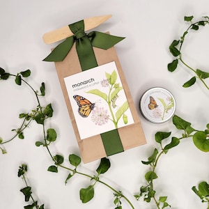 May include: A brown paper gift bag with a green ribbon and a wooden stick. The bag has a white label that says "monarch milkweed scatter garden". There is a small metal tin with a monarch butterfly design and the words "monarch milkweed" on it.