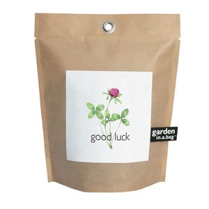 Good Luck Garden in a Bag | Good Luck gift for Graduation or special event, Indoor clover garden, ecofriendly handmade gift, clover grow kit
