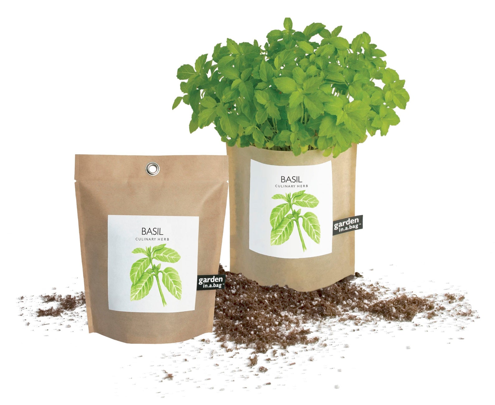 Basil Garden in a Bag Self Contained Plant Eco Friendly | Etsy