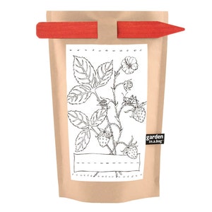 May include: A brown paper bag with a black and white illustration of a strawberry plant. The bag has a red wooden marker attached to the top. The bag has the text "garden in a bag" printed on it.