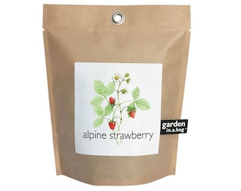 Alpine Strawberry Garden in a Bag | Strawberry Grow Kit – Eco-friendly – Apartment Garden - Windowsill Gardening - Gifts for Gardeners