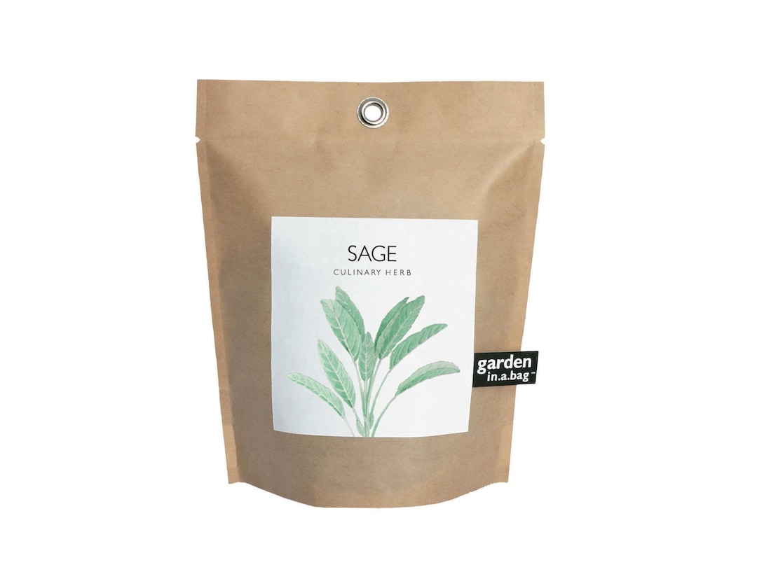 Sage Garden-in-a-bag Indoor Herb Garden Sage Grow Kit Eco Friendly ...