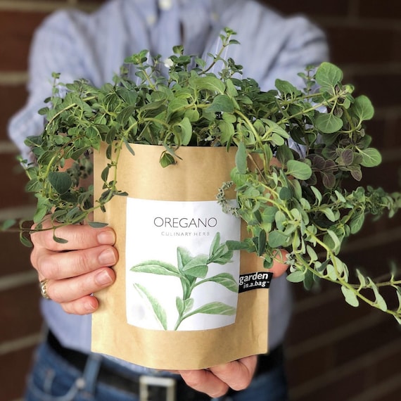 Oregano Garden-in-a-Bag – Herb Garden Grow Kit – Organic Oregano Seed – Hostess Gift – Home Cook gift - Kitchen Herb