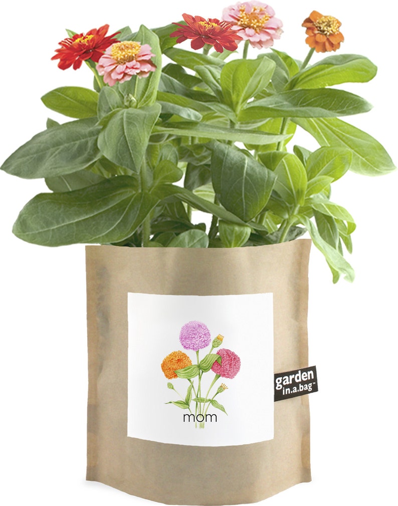 Mom Garden-in-a-Bag – Dwarf mixed zinnia garden